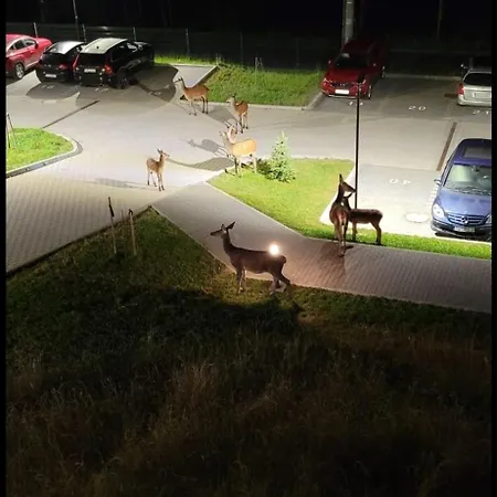 Apartman Osada Gorska Szklarska Poręba