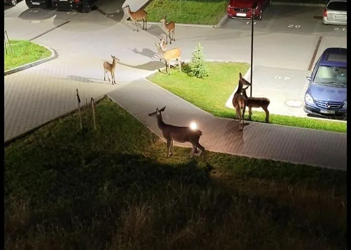 Apartment Osada Gorska Szklarska Poreba